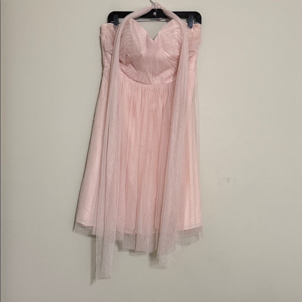 Jenny Yoo Elegant Pink Strapless Dress gown wedding women 14 event party tulle